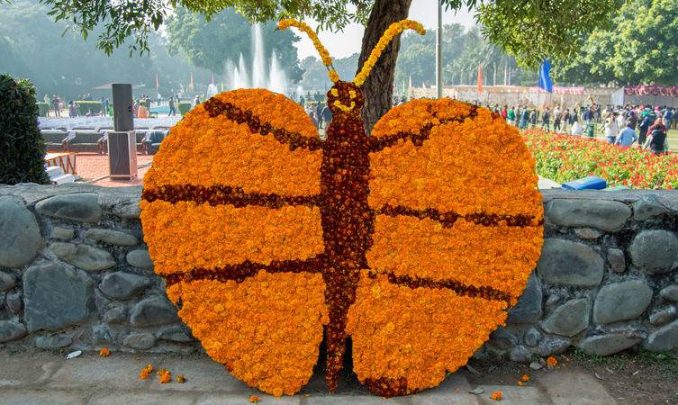 Hotels near Sector 42 Attawa Chandigarh